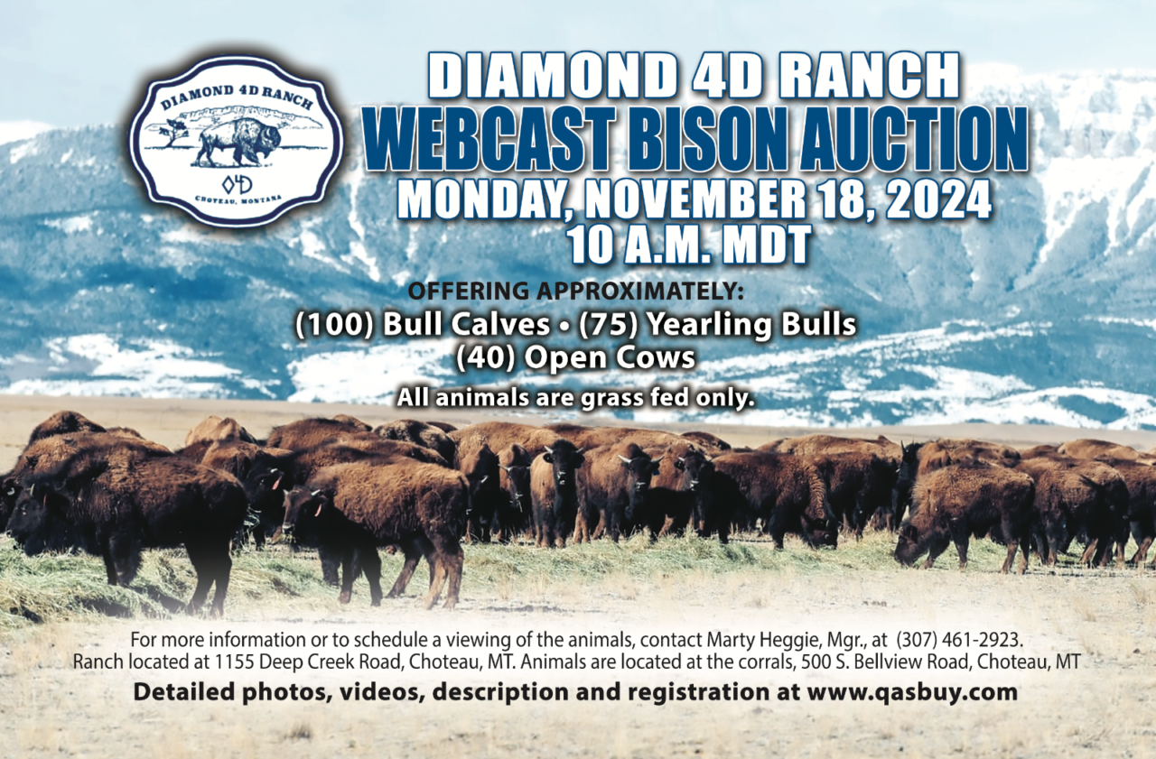 DIAMOND 4 D RANCH WEBCAST BISON AUCTION